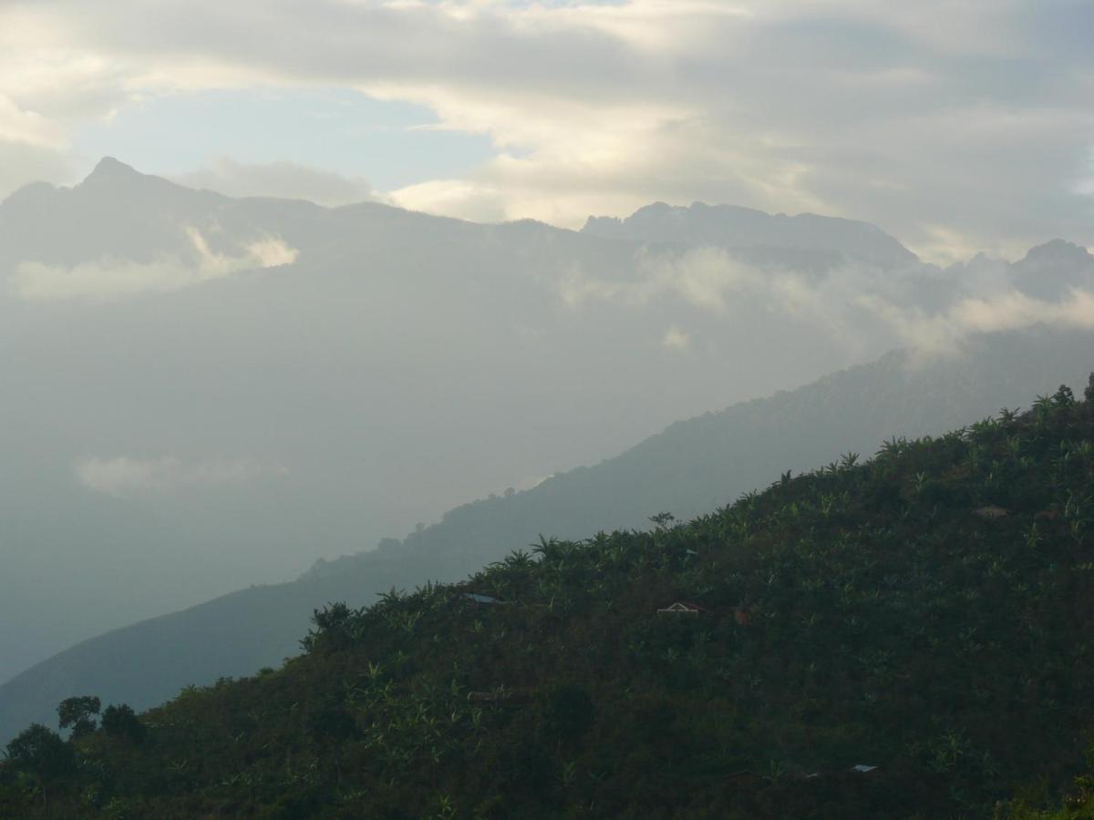 Single Room with Mountain View