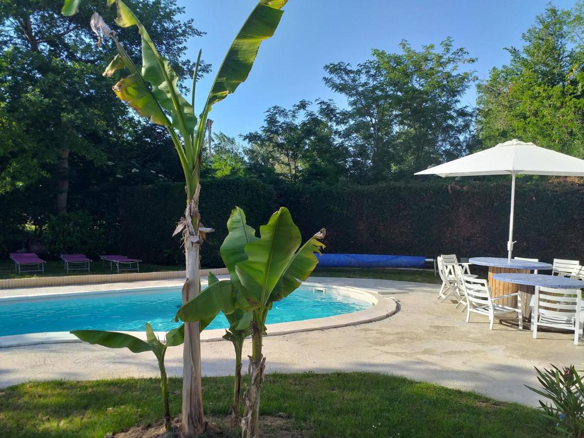 Chez Celine et Philippe chambre Marie dans propriété de charme avec piscine - B&B Le Fossat