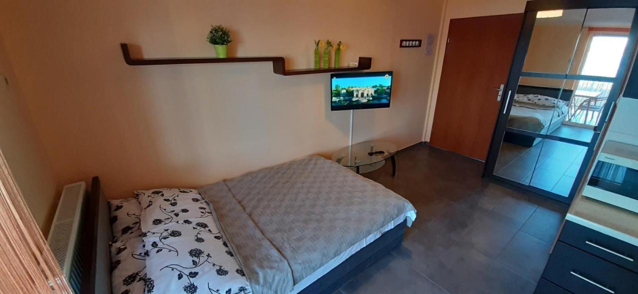 Studio with Lake View and Terrace