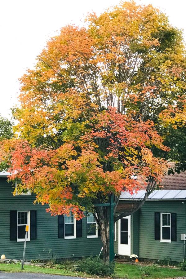 Restored Historic Home Half Mile to Ski Resort! - Ferienwohnung Otis