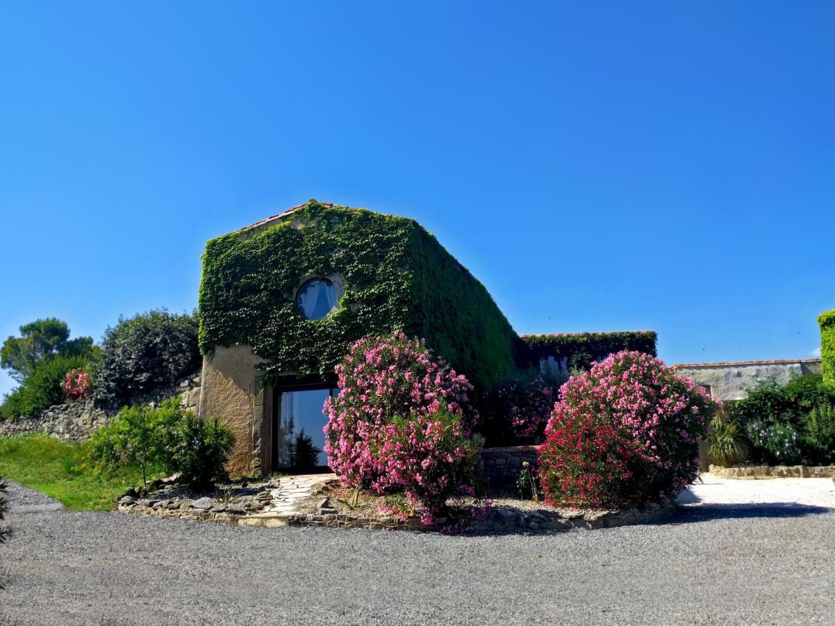 Domaine de Palats - B&B Laure-Minervois