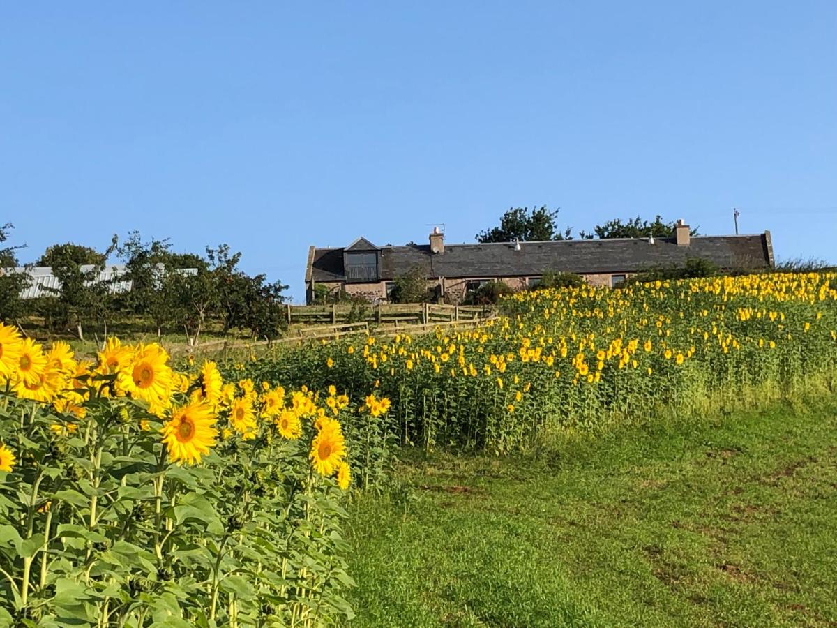 Garden Bank Cottage - Ferienwohnung