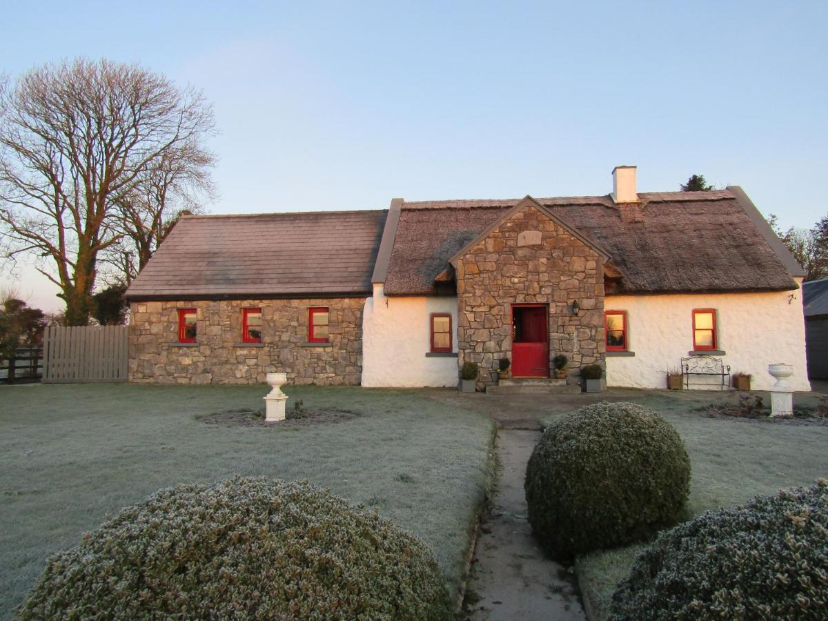 The Thatched Cottage B&B - B&B