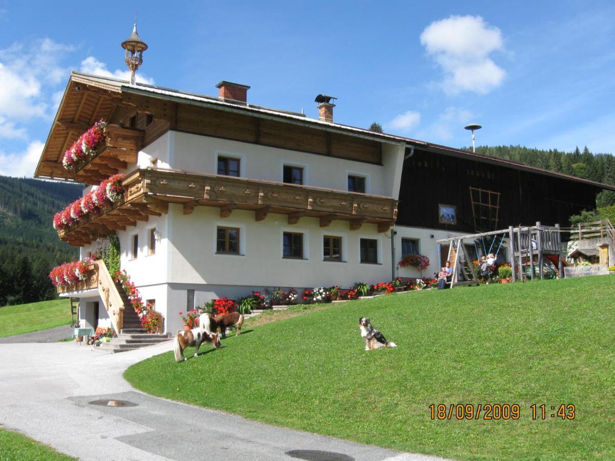 Ferienwohnung Schoberhof - Ferienwohnung Filzmoos
