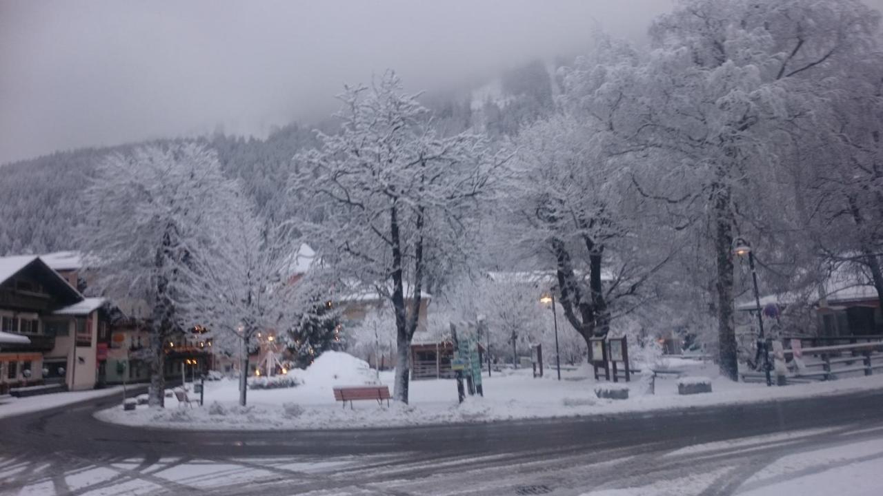 Parkvilla Mallnitz - B&B Mallnitz