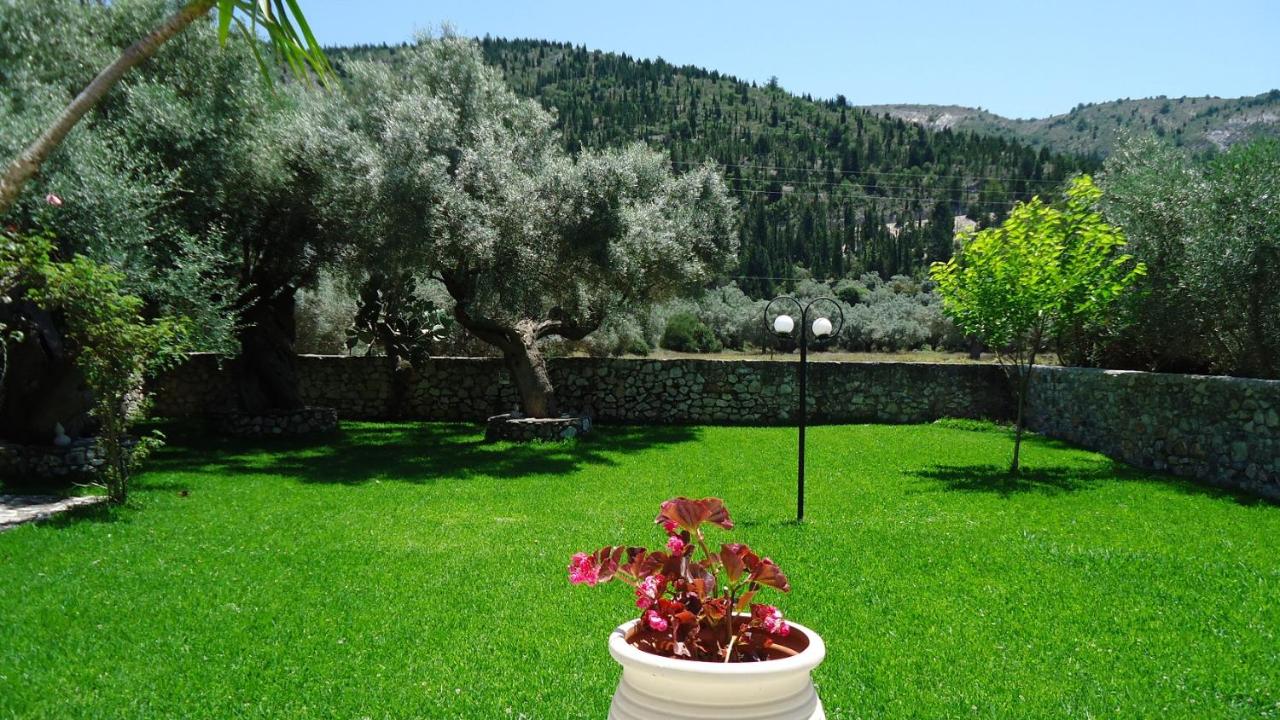 Appartement 1 Chambre