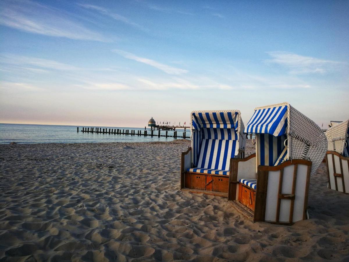 Rosenblick - B&B Zingst