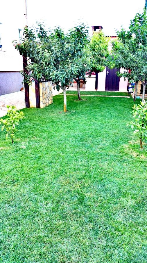 Tena Apartment - B&B Zadar