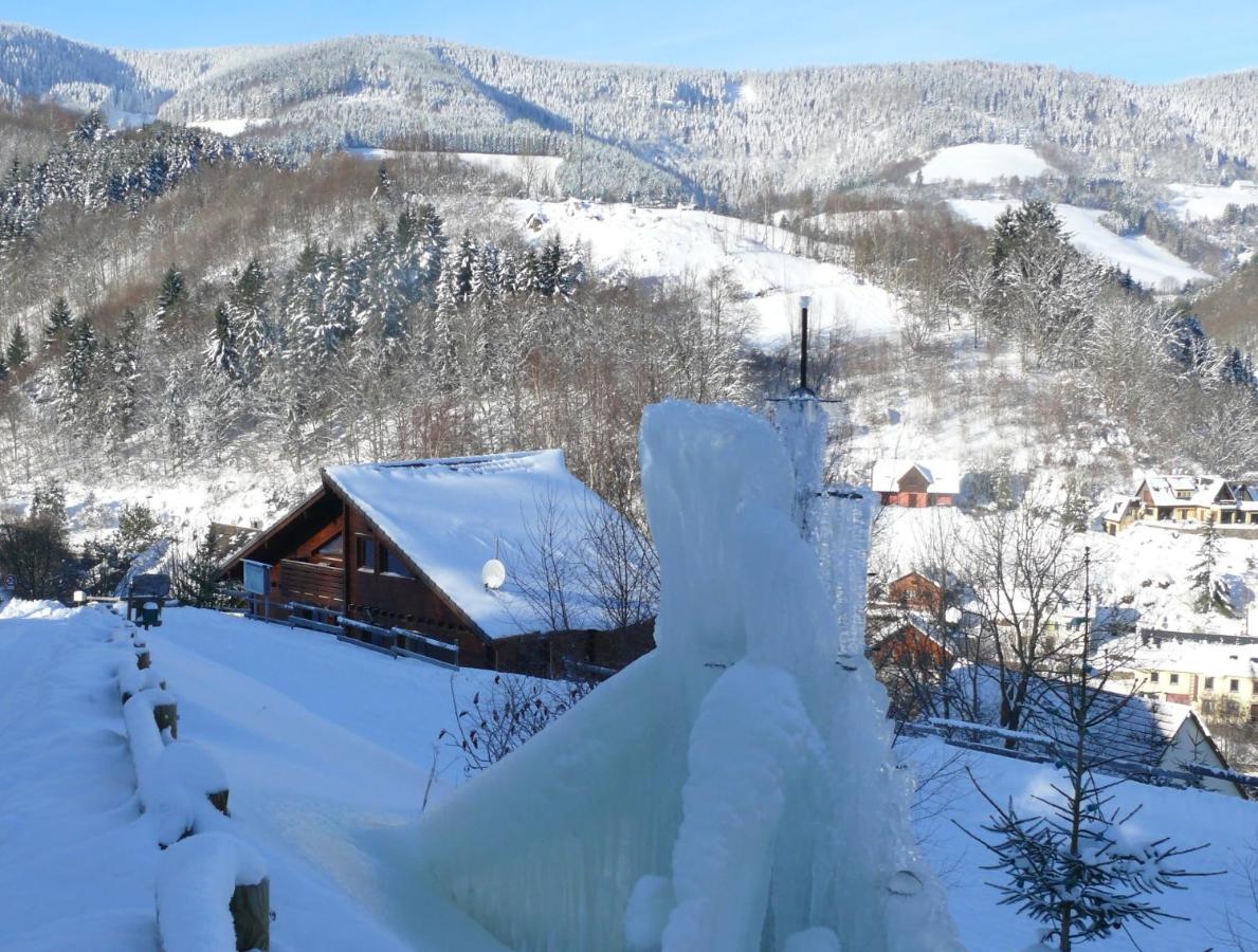 Les Myrtilles - B&B Le Bonhomme