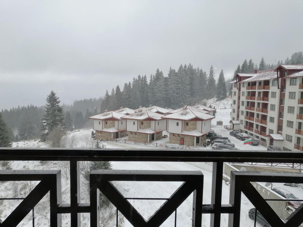 Apartment Viki Pamporovo - B&B Pamporovo