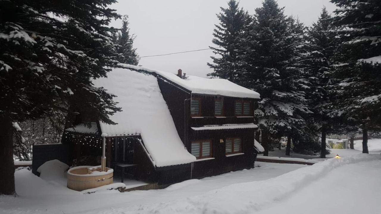 Oliwne Wzgórza - B&B Stronie Śląskie