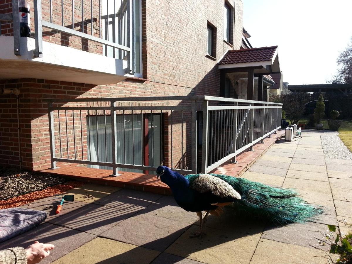 Appartement met 1 Slaapkamer