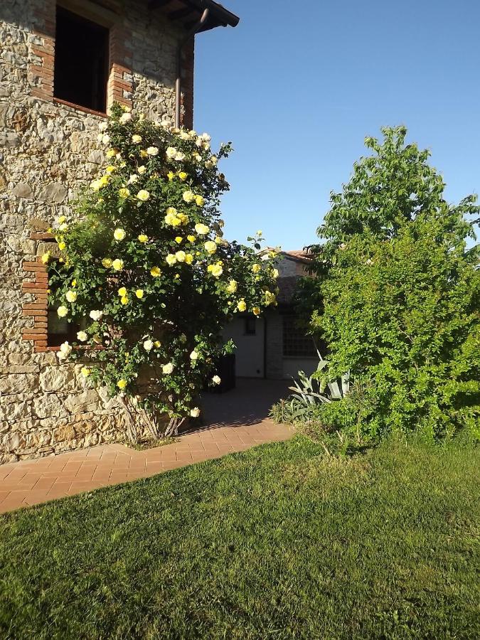 Agriturismo Gattogiallo - B&B Montegabbione