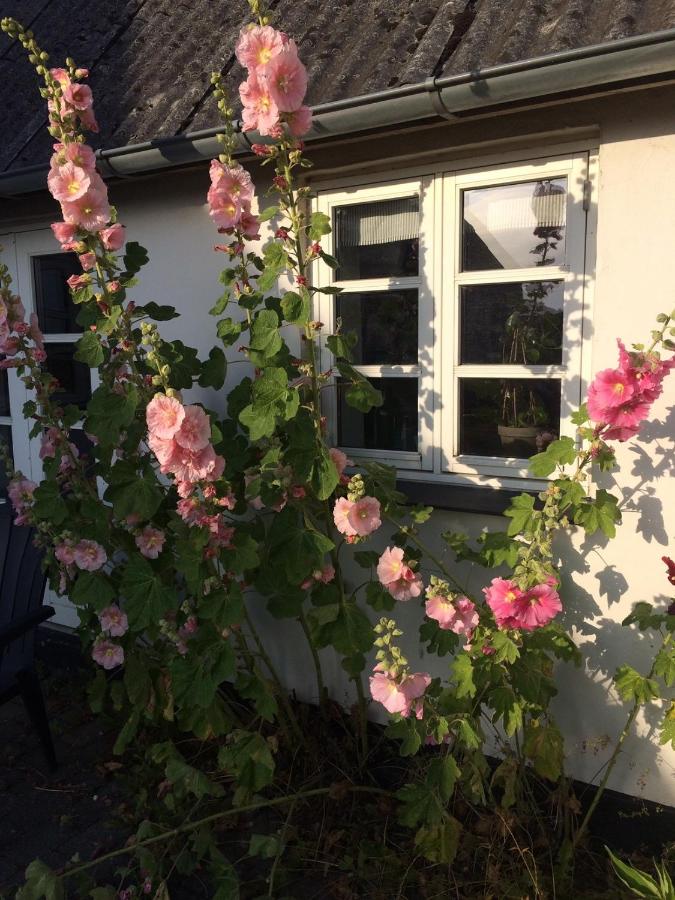 Aasesminde - B&B
