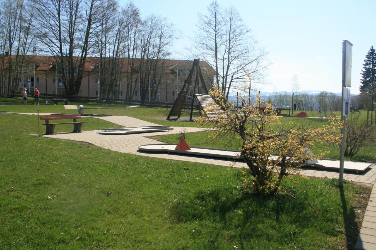 Rosenalm Scheidegg Apartment 256 - Ferienwohnung Scheidegg