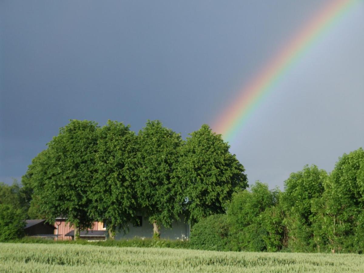 B&B Loit - Hof-Solgaard - Bed and Breakfast Loit