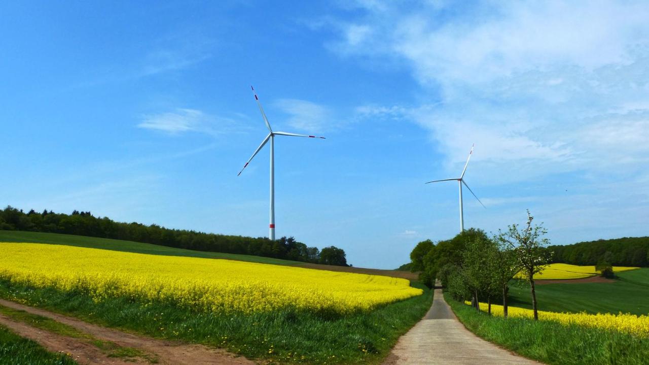 Ferienwohnung Seestern - B&B Neunkirchen