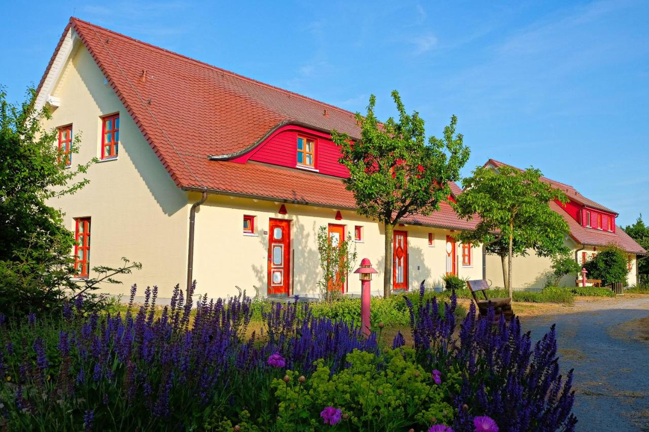 B&B Dranske - Sanddornstübchen - Bed and Breakfast Dranske