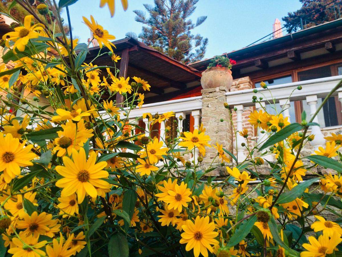 Ermones Emerald Villa - B&B