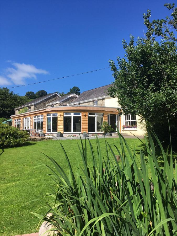 B&B Cynghordy - Llanerchindda Farm Guest House - Bed and Breakfast Cynghordy