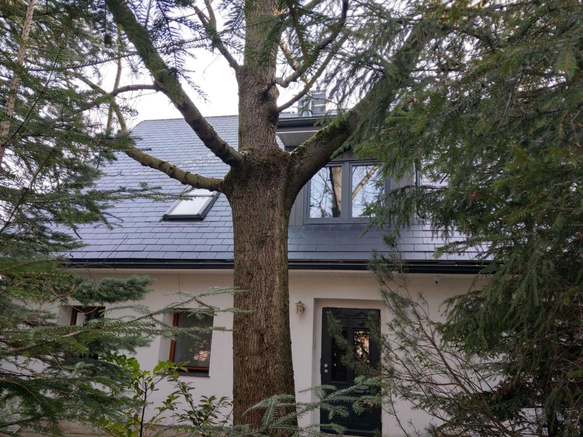Maisonette