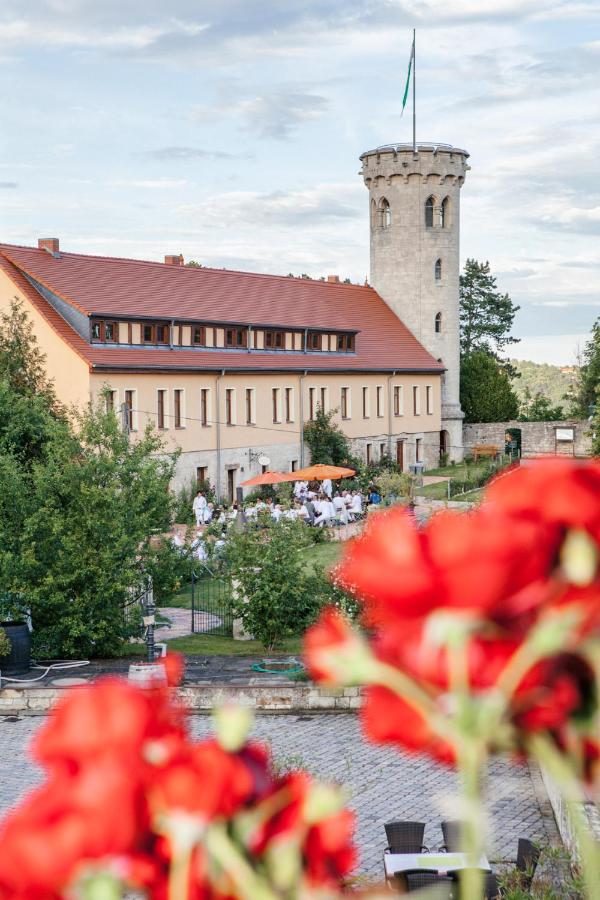 B&B Freyburg - Weingut Pawis Appartements - Bed and Breakfast Freyburg