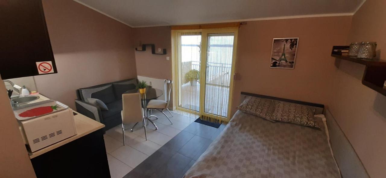 Studio with Lake View and Terrace