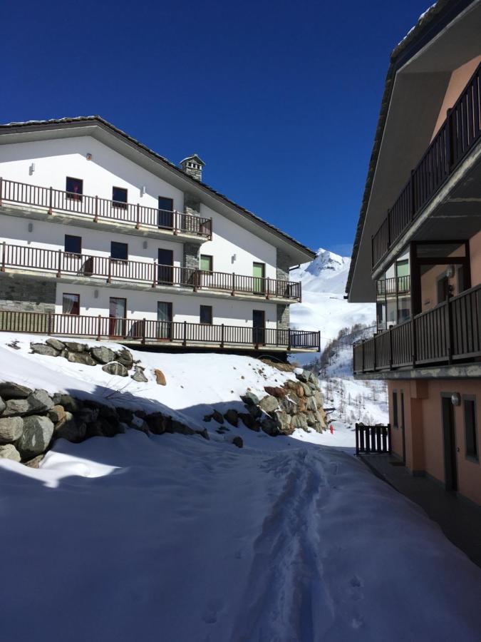 La marmotta bianca ski in out - B&B Cervinia