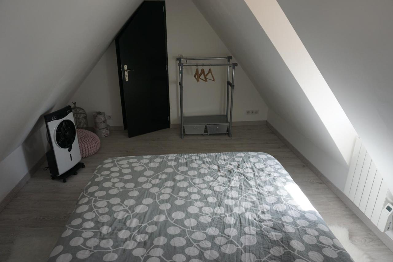 Au Grenier de La Grenouille - Bed and Breakfast Colmar