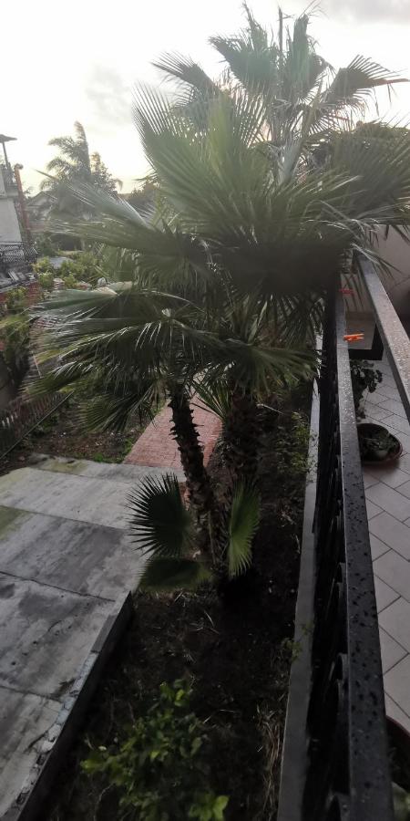 Studio avec Balcon 