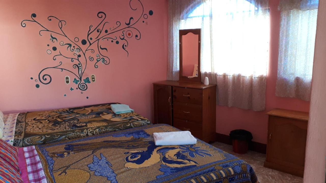 Bunk Bed in Mixed Dormitory Room