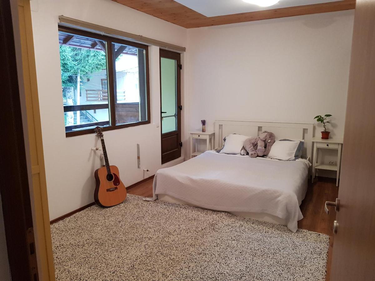One-Bedroom Apartment 1.1