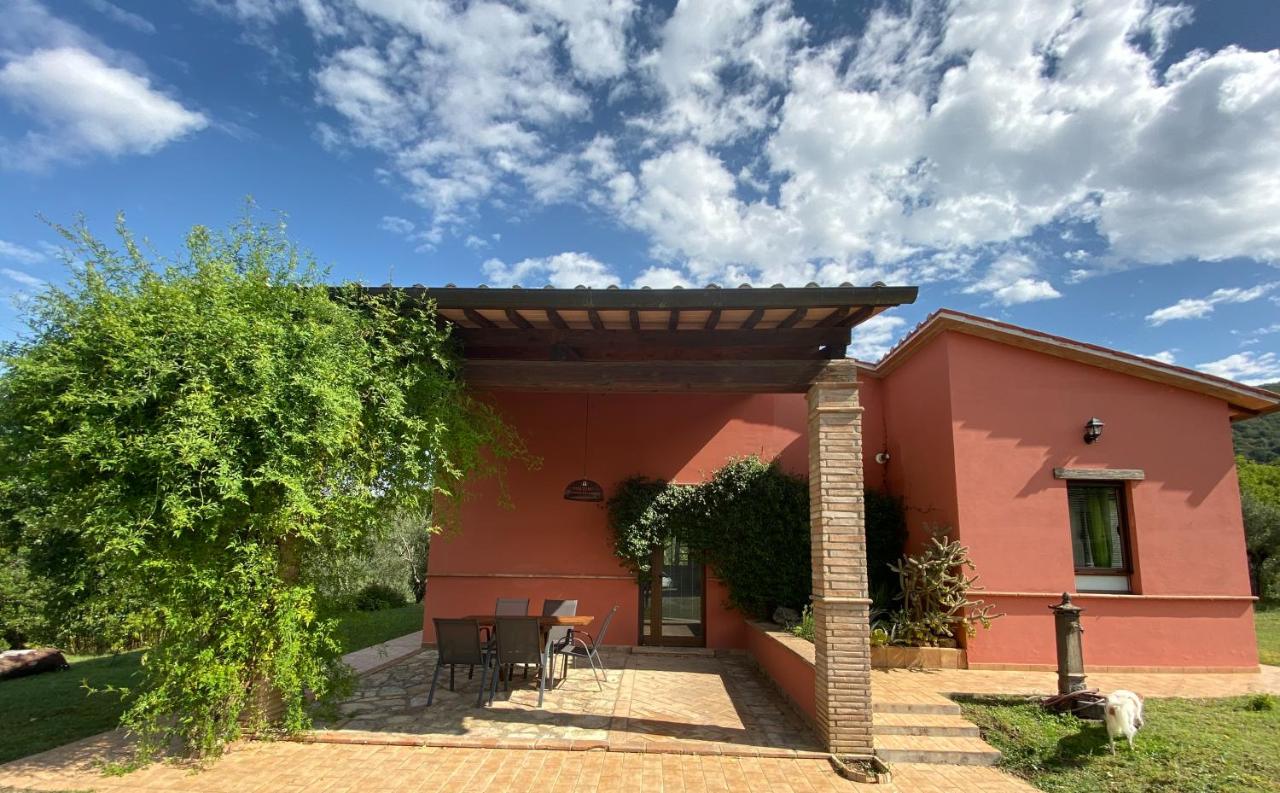Le case di Lisetta Holiday homes - B&B Corciano