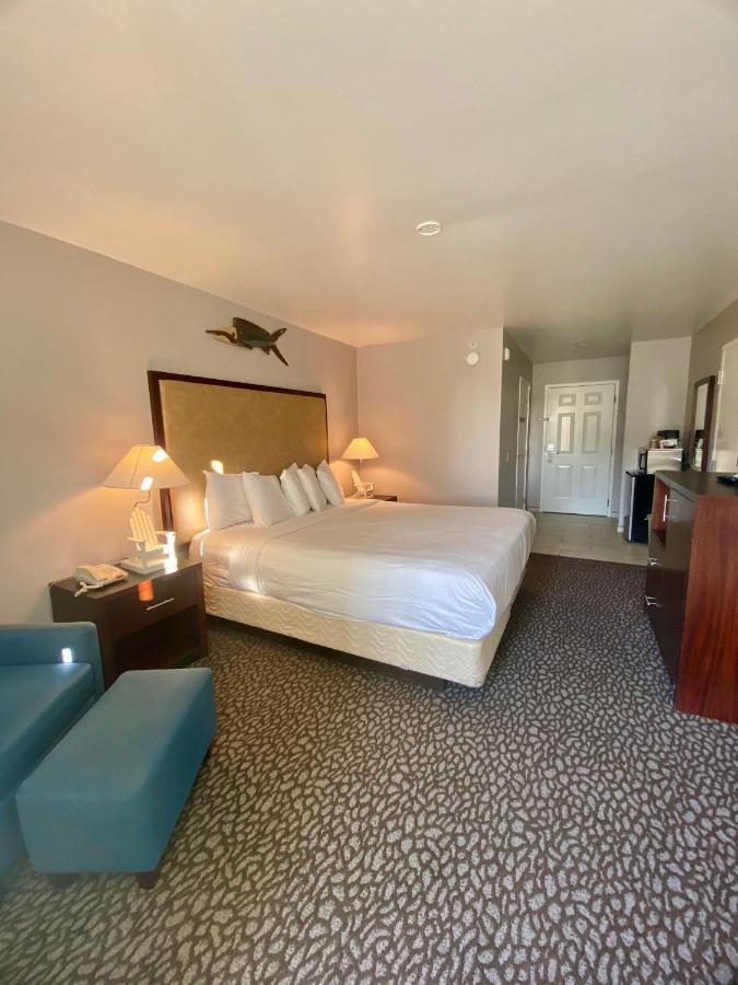 Kamer met Kingsize Bed - Geschikt voor Gasten met een Lichamelijke Beperking/Rookvrij