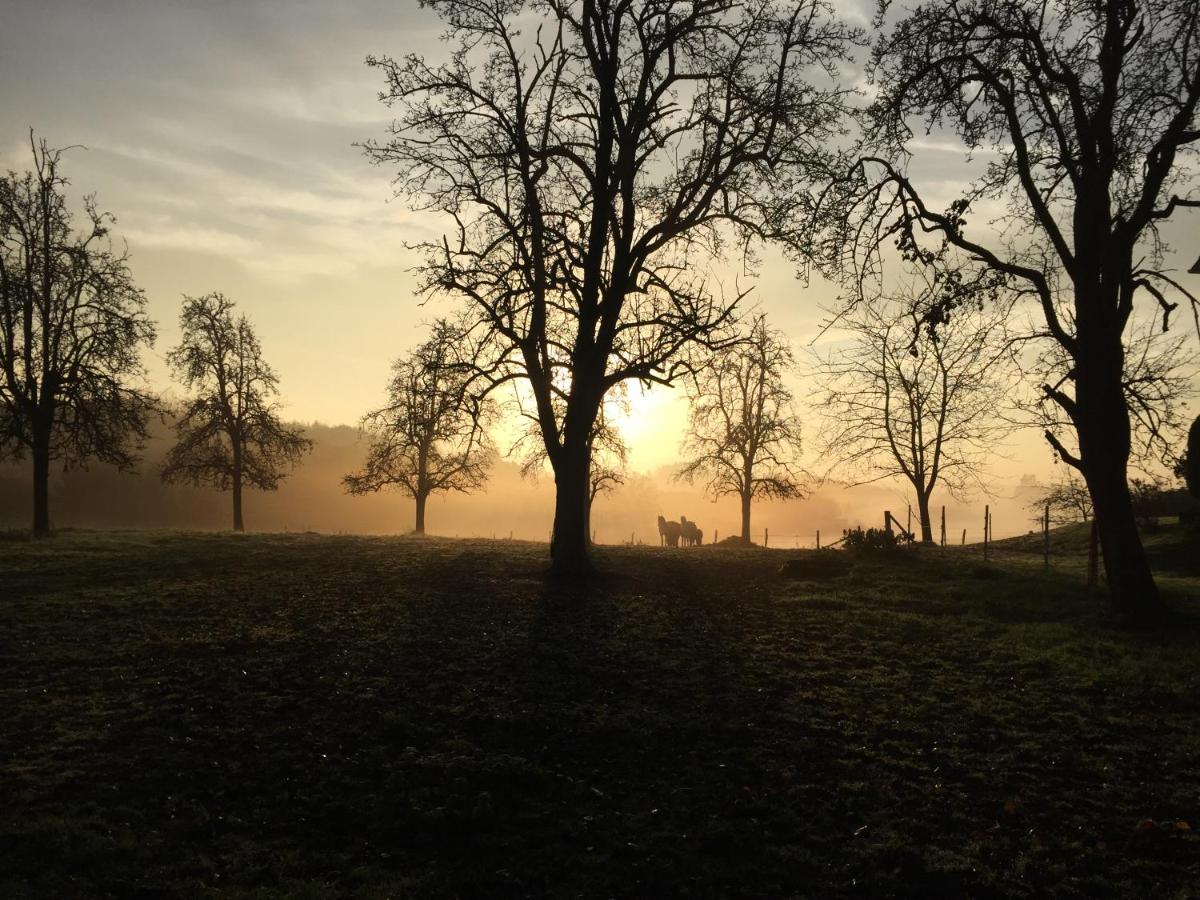 Am Grünenplatz 65 - B&B Wermelskirchen