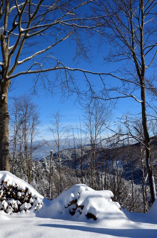 Huis met 6 Slaapkamers