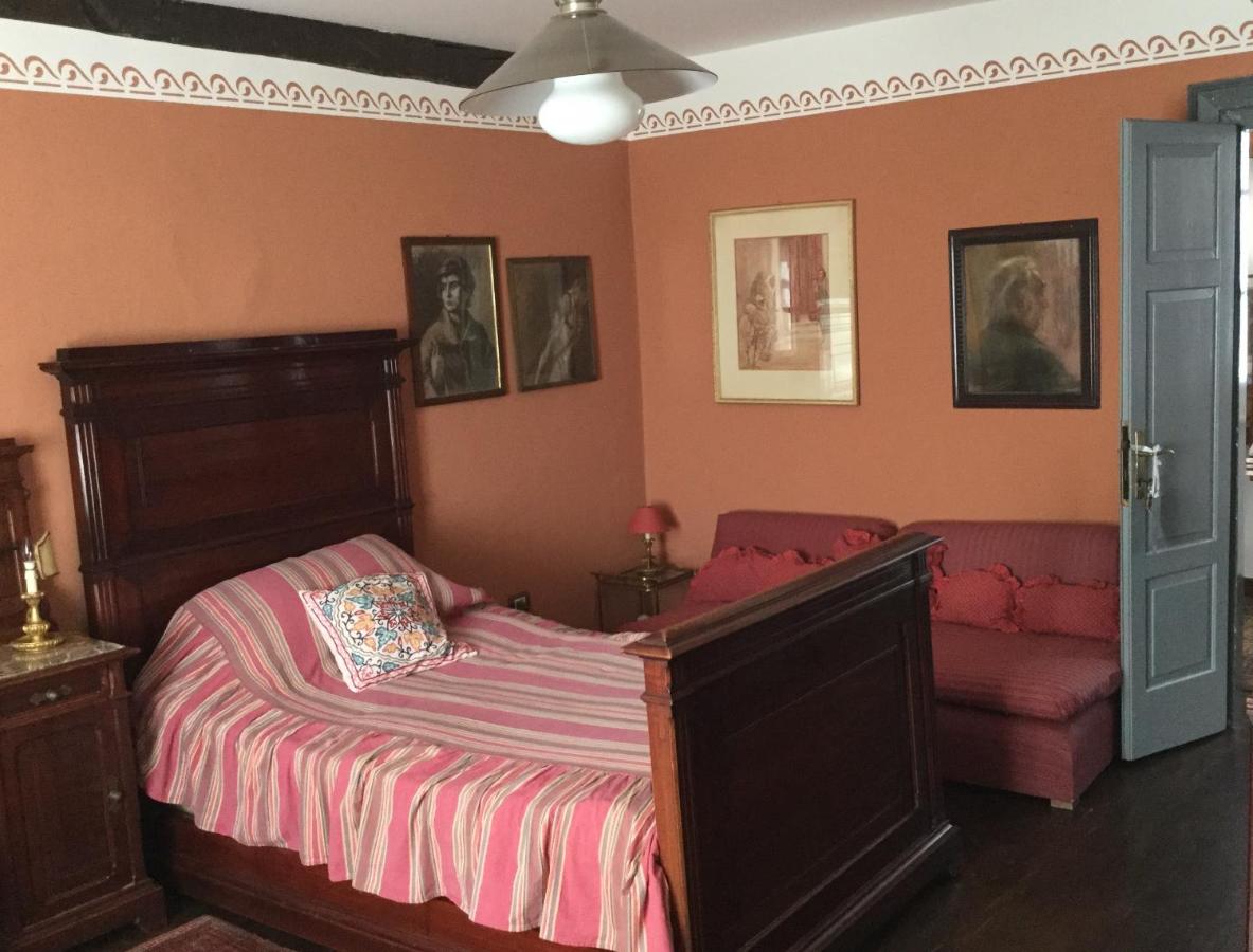 Single Room with Garden View