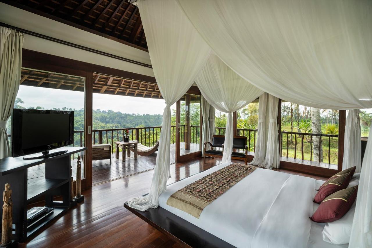 One-Bedroom Villa with Jungle View