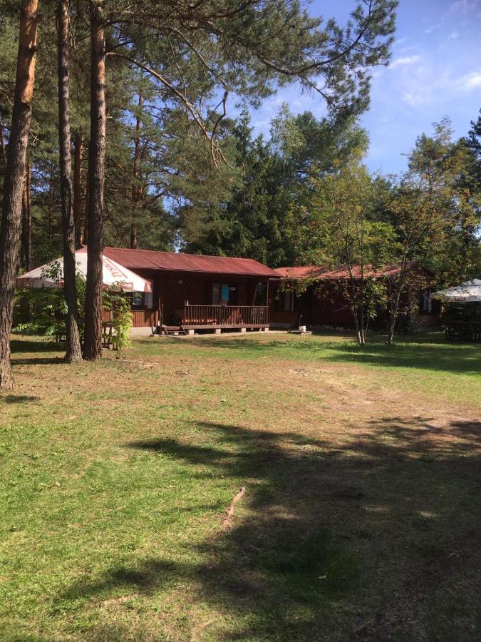 Forest Villa- domki - B&B