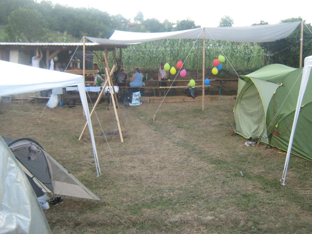 Camp Tomasevic - B&B