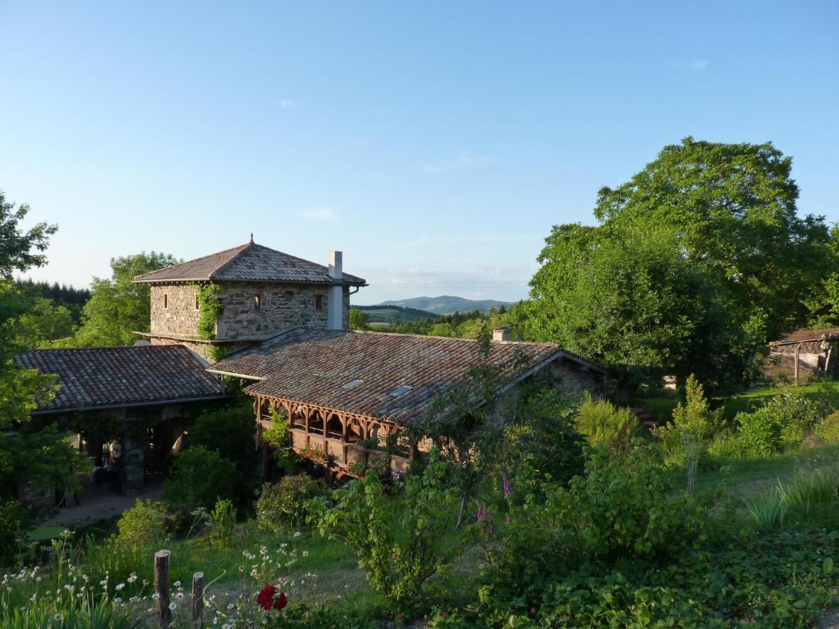Les Folies de la Serve - B&B