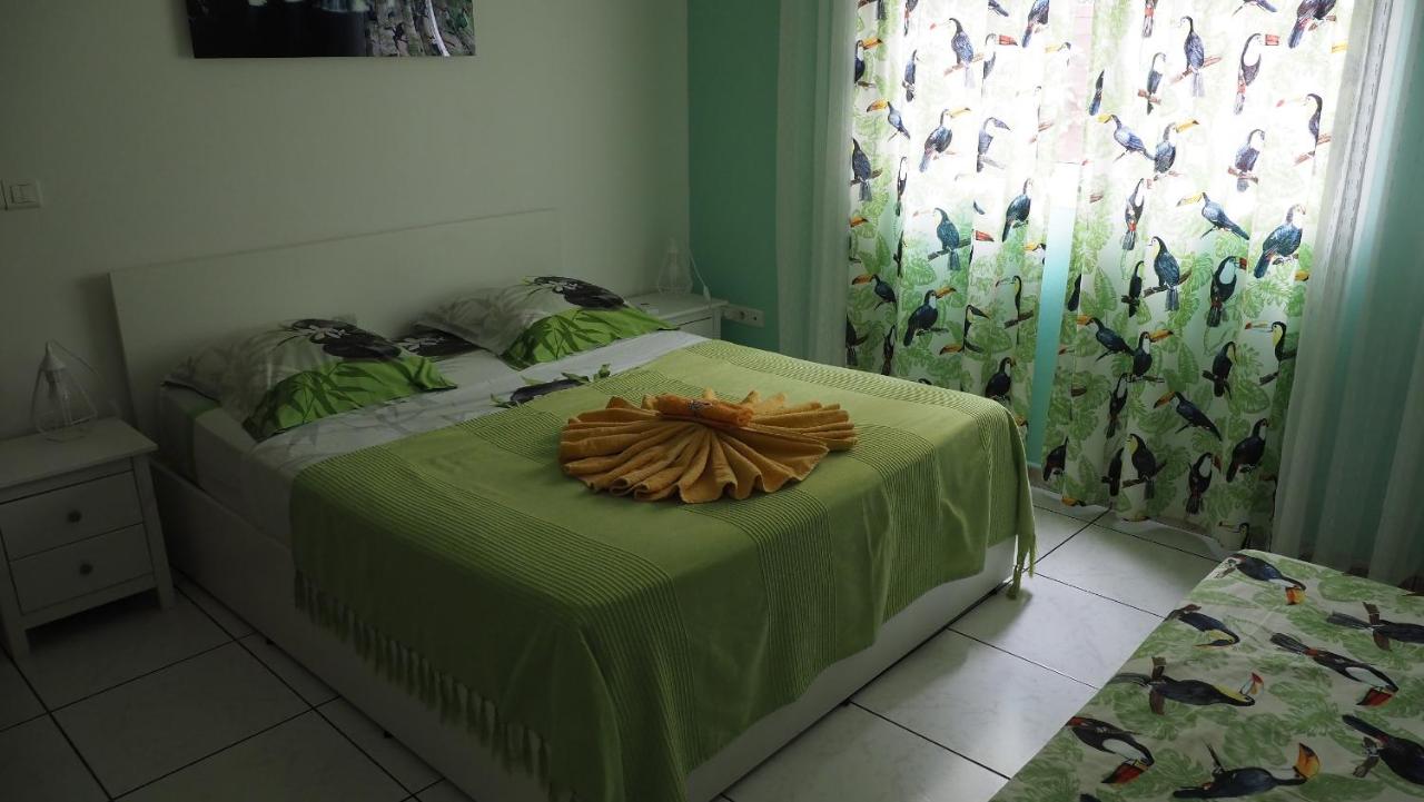 Toucan Room