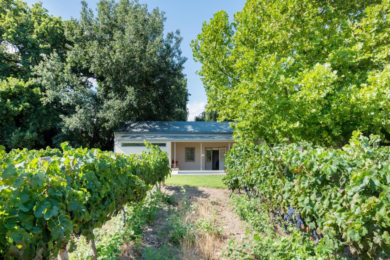 La Chataigne Wines & Guest Cottages - Chambres d’hôtes