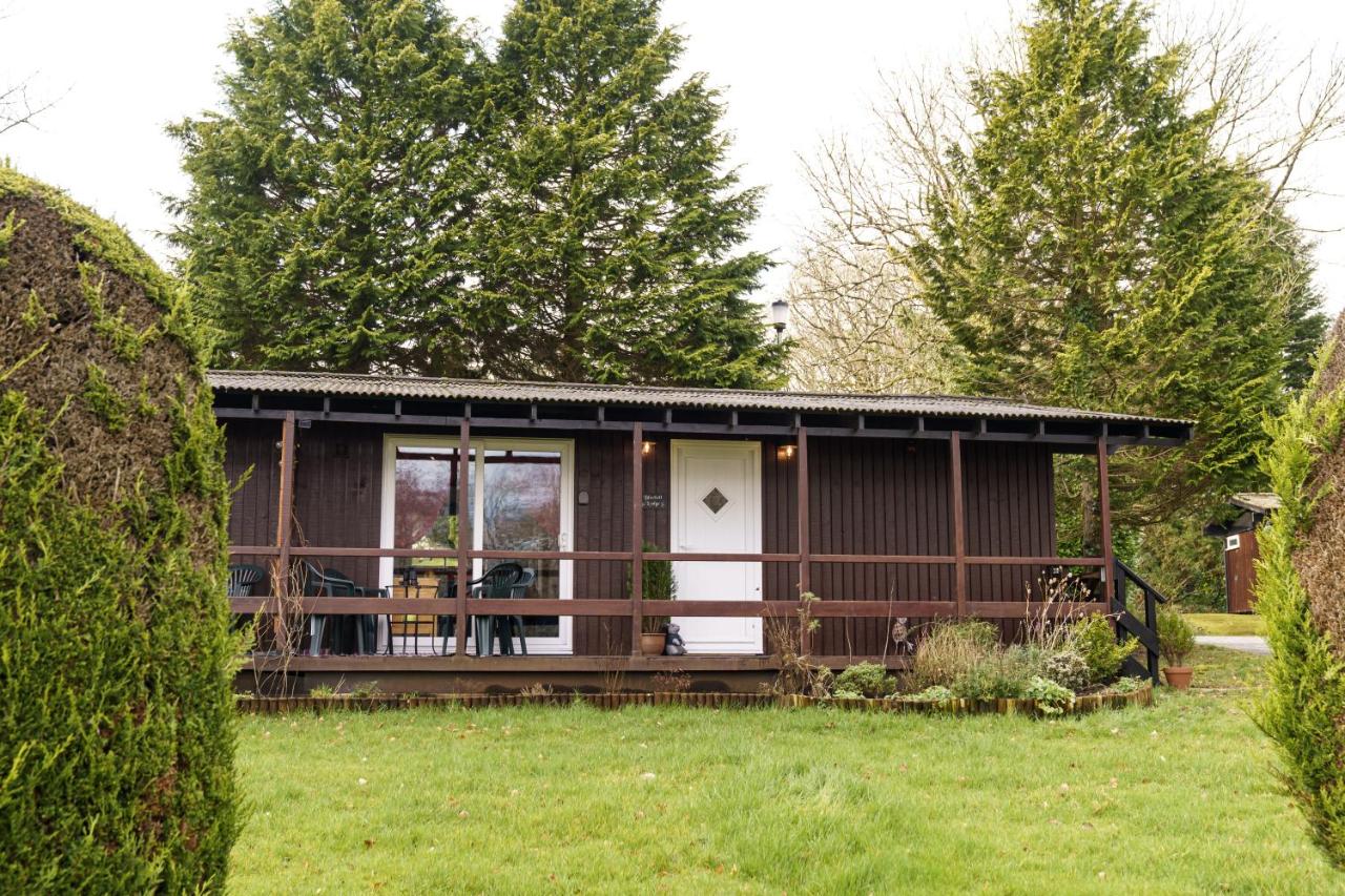 B&B Newcastle Emlyn - Bluebell Lodge set in a Beautiful 24 acre Woodland Holiday Park - Bed and Breakfast Newcastle Emlyn