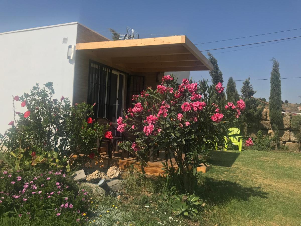 La Casita de Laura - B&B Bolonia