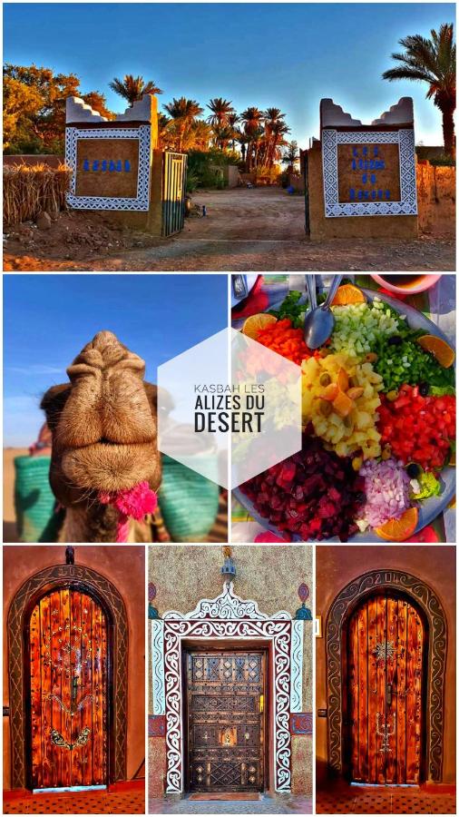 B&B Mhamid - Kasbah Les Alizes Du Desert - Bed and Breakfast Mhamid