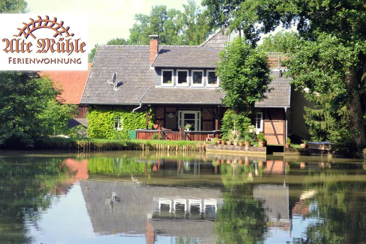 B&B Bad Rodach - Ferienwohnung „Alte Mühle“ - Bed and Breakfast Bad Rodach