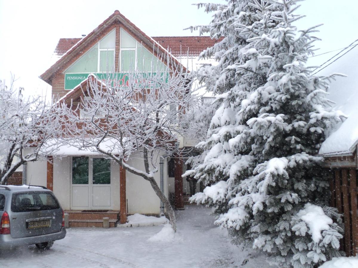Randevú Panzió - B&B