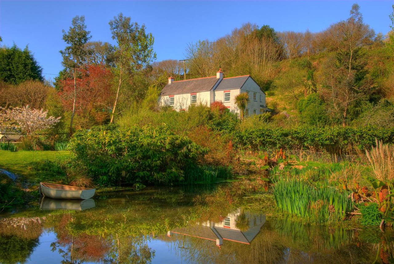 B&B Penryn - Holiday Cottage Falmouth - Bed and Breakfast Penryn