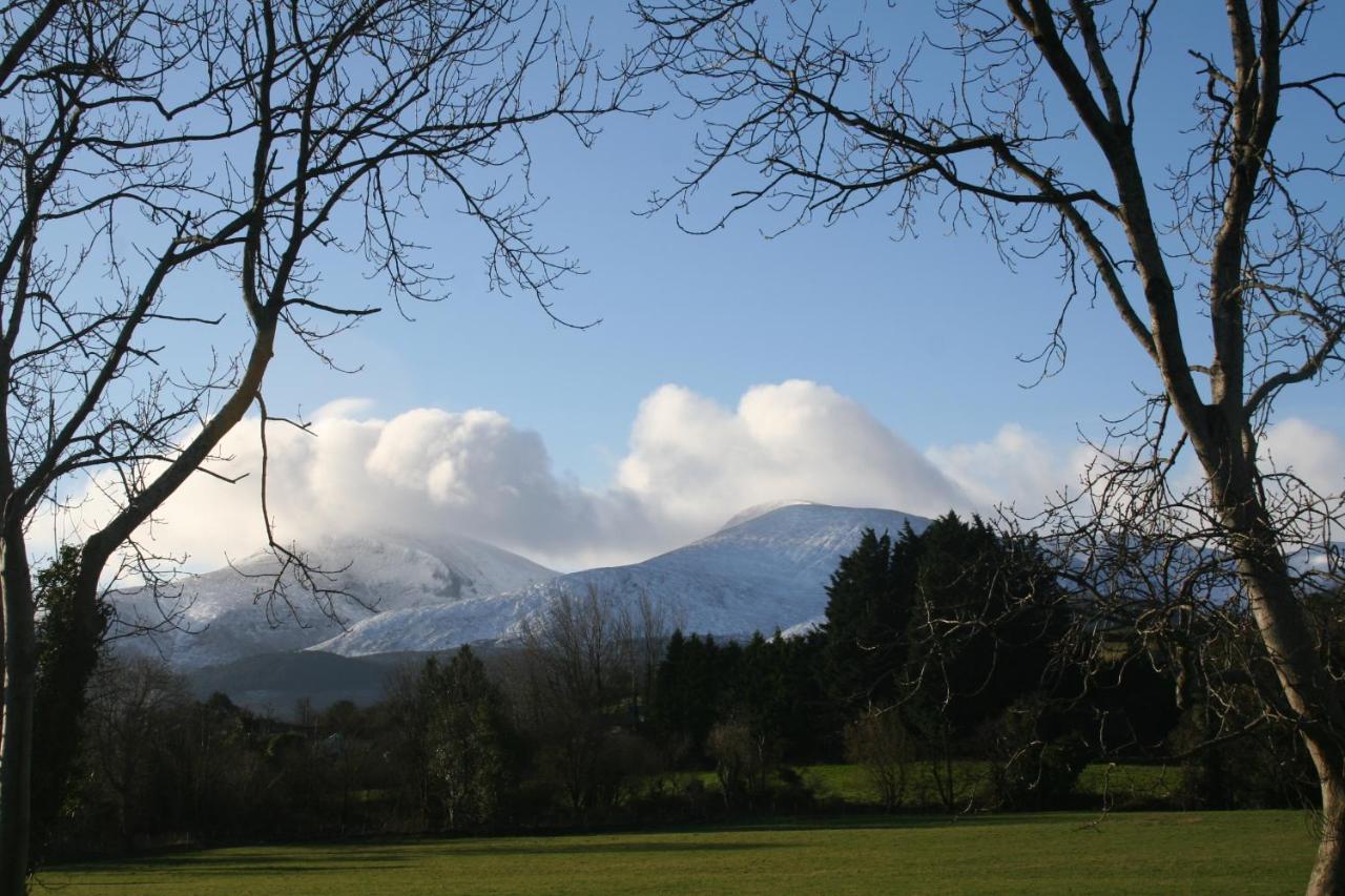 B&B Castlewellan - Tuck Mill Cottage - Bed and Breakfast Castlewellan